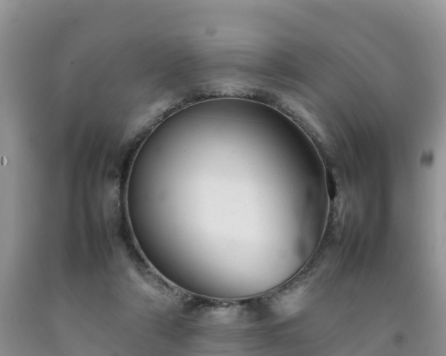 X0000092060306200709191147