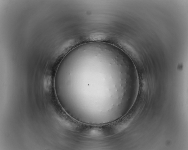 X0000092060308200709191147