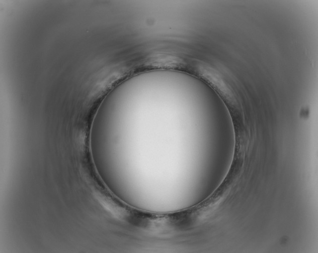 X0000092060309200709191147