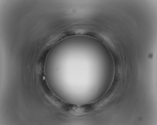 X0000092060311200709191147