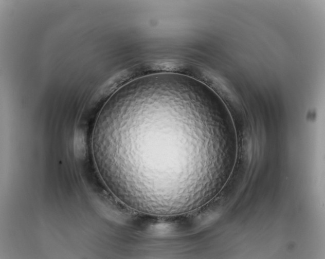 X0000092060312200709191147