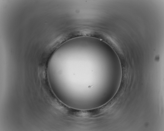 X0000092060313200709191147