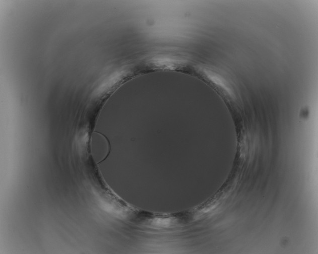 X0000092060314200709191147