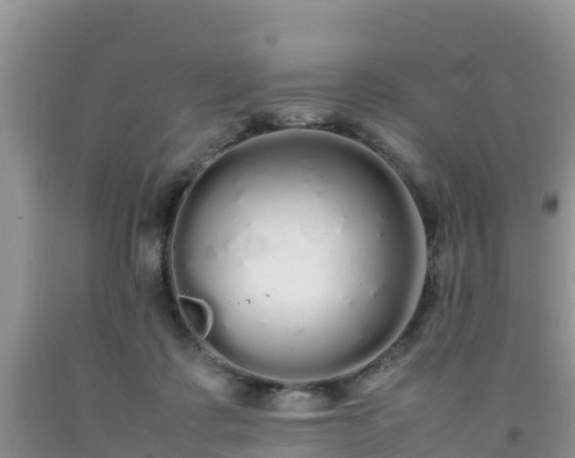 X0000092060315200709191147