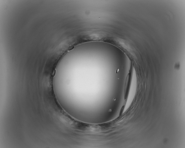 X0000092060317200709191147