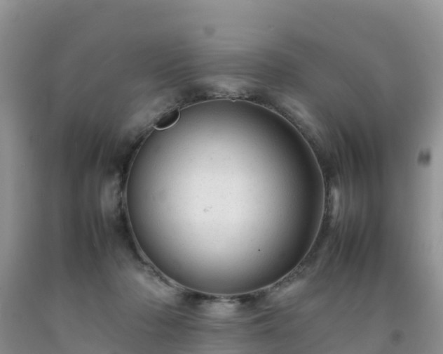 X0000092060318200709191147