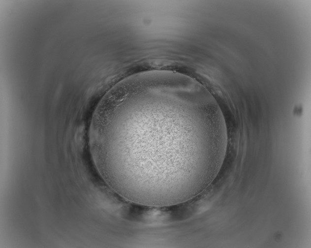 X0000092060319200709191147