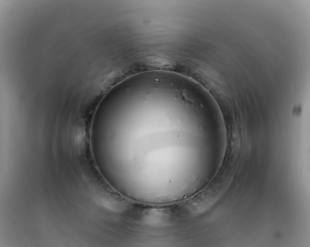 X0000092060320200709191147