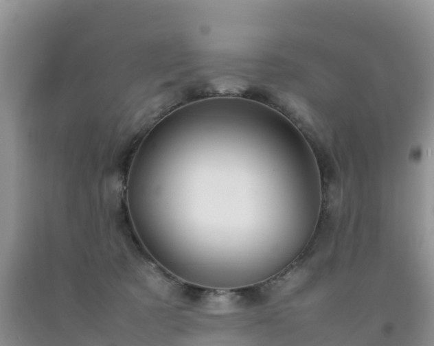 X0000092060321200709191147