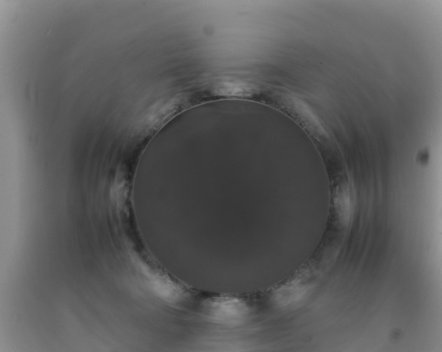 X0000092060322200709191147