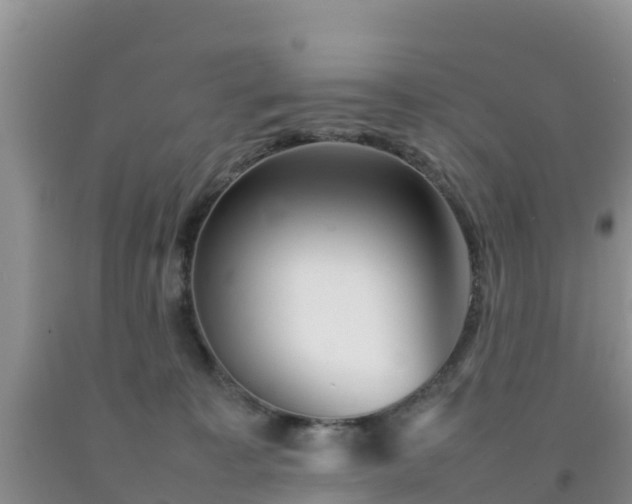 X0000092060323200709191147