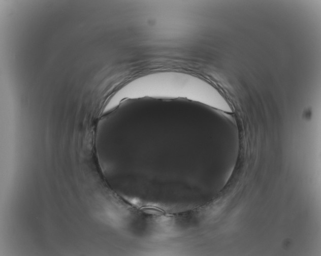 X0000092060325200709191147