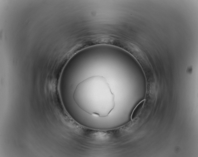 X0000092060326200709191147