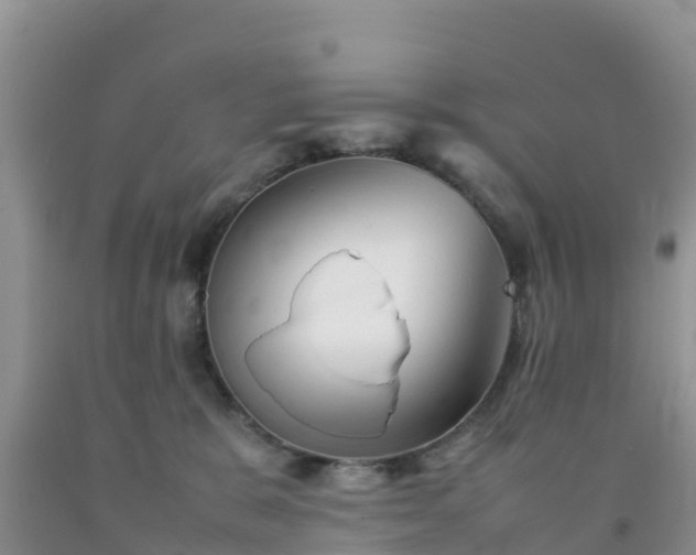 X0000092060327200709191147