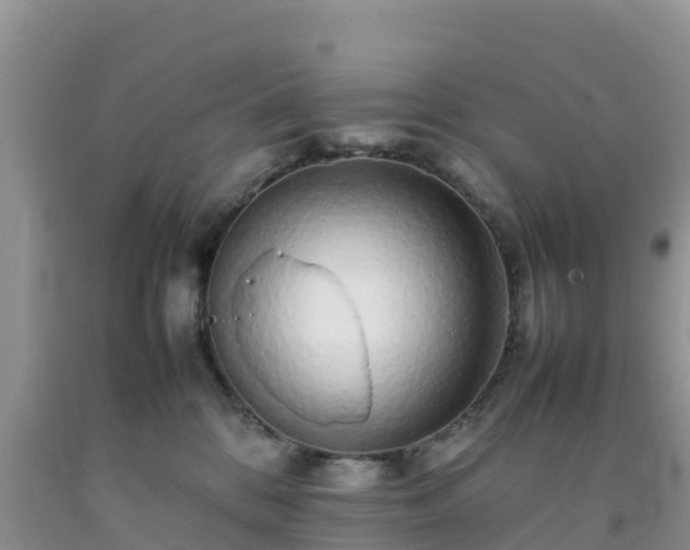 X0000092060328200709191147