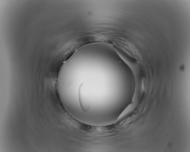 X0000092060329200709191147