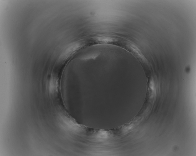 X0000092060330200709191147