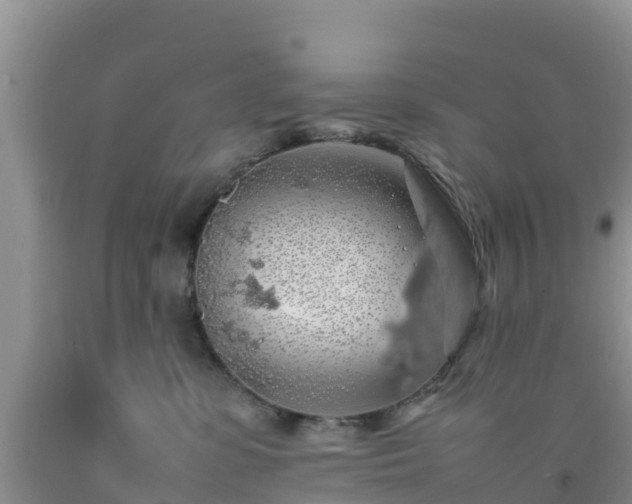 X0000092060331200709191147