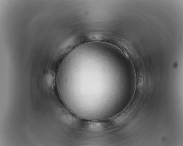 X0000092060332200709191147