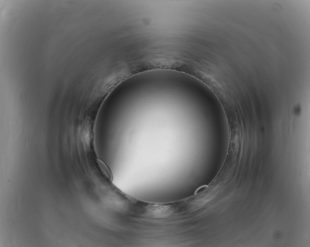 X0000092060334200709191147