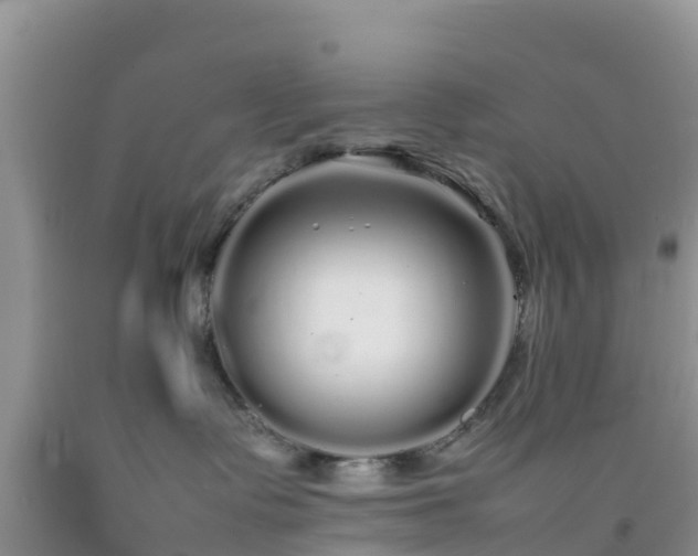 X0000092060335200709191147