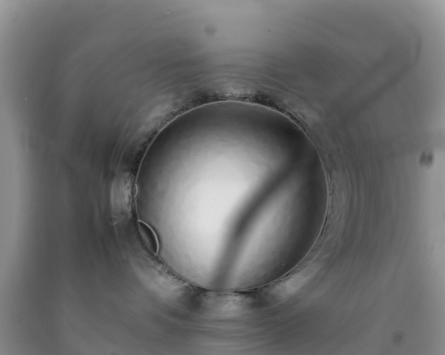 X0000092060336200709191147