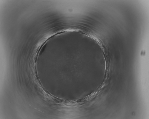 X0000092060337200709191146