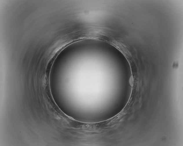 X0000092060338200709191146