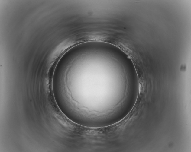 X0000092060339200709191146