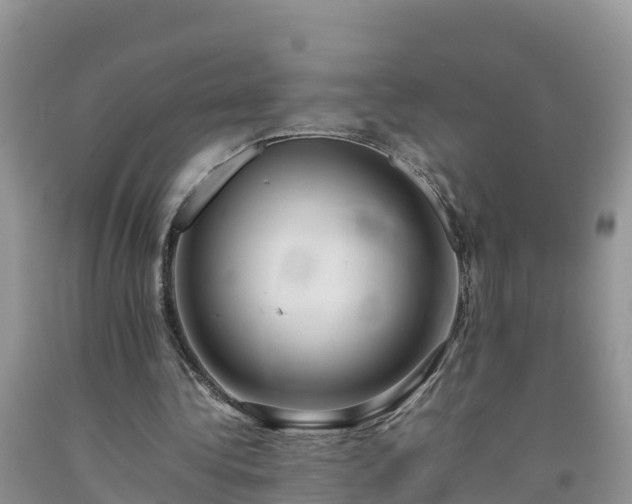 X0000092060340200709191146