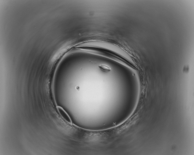 X0000092060341200709191146