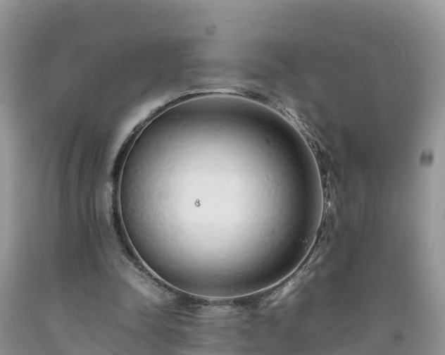 X0000092060342200709191146