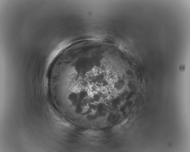 X0000092060343200709191146