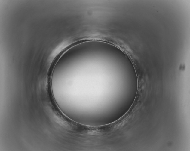 X0000092060344200709191146