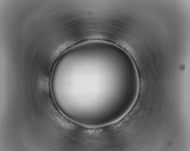 X0000092060345200709191146