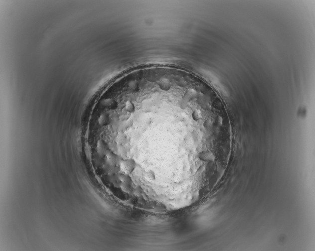 X0000092060346200709191146