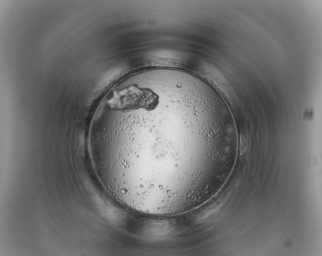 X0000092060349200709191146