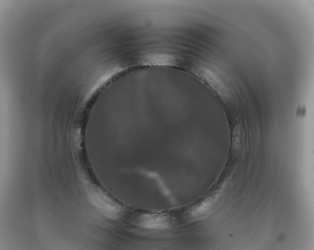 X0000092060351200709191146