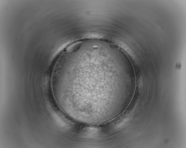 X0000092060352200709191146