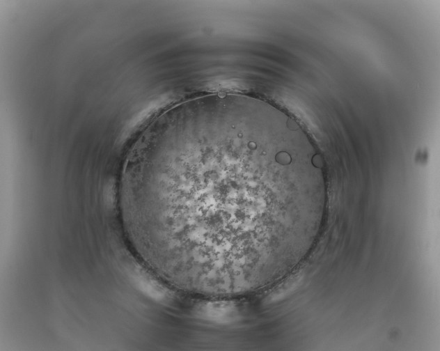 X0000092060353200709191147