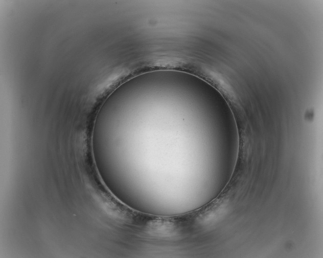 X0000092060354200709191147