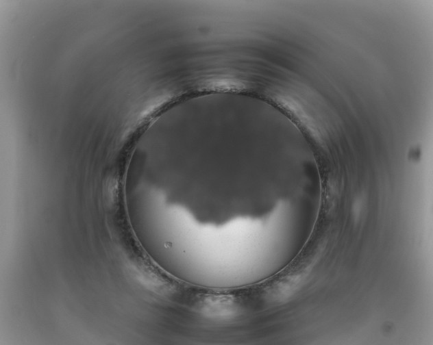 X0000092060355200709191147