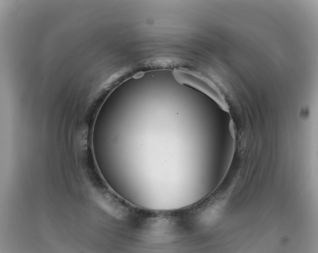 X0000092060356200709191147