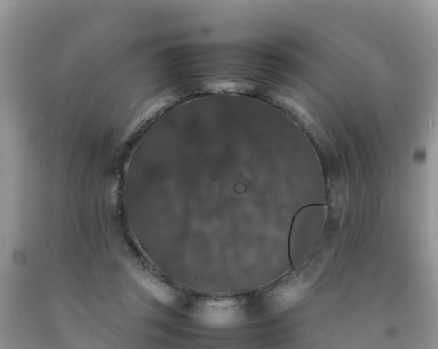 X0000092060357200709191147