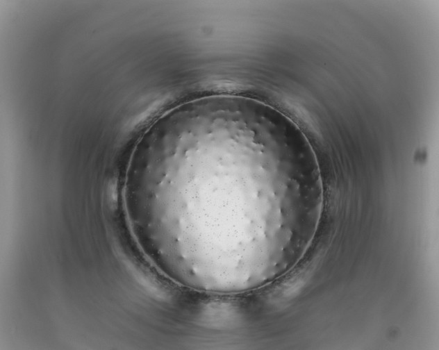 X0000092060358200709191147