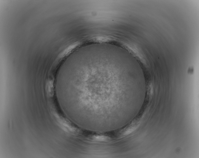 X0000092060360200709191147