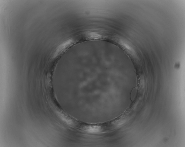 X0000092060361200709191147