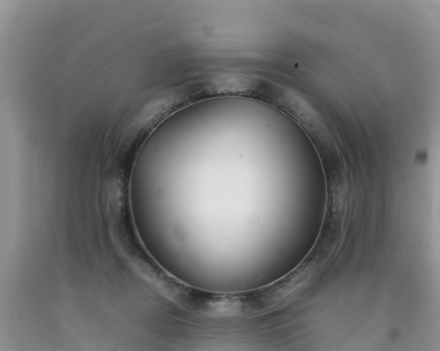 X0000092060362200709191147