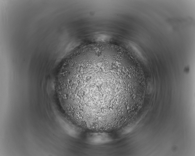 X0000092060363200709191147