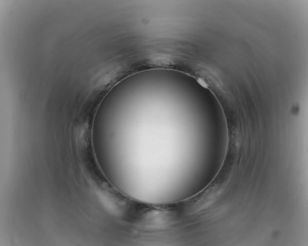 X0000092060364200709191147